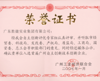 实业集团荣誉证书(自主创新技术创新企业)